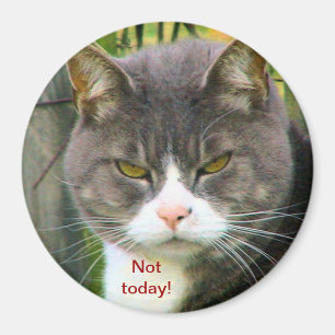 Funny ANGRY CAT saying, "NOT TODAY!" Magnet