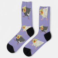 Funny Angry Normal Grey Lutino Cockatiels
