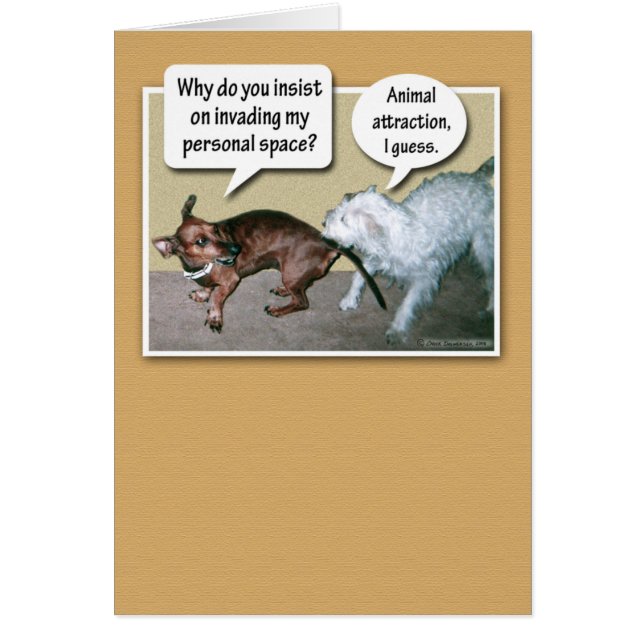 Funny Animal Attraction (Front)