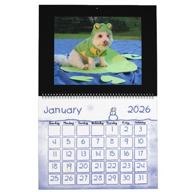 Funny Animal Calendar (Jan 2026)