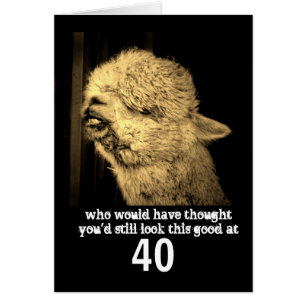 funny animal  humour alpaca photo custom birthday