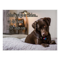 Funny animal memes Dog memes Humourous Photos