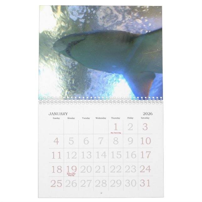 Funny Animals 2012 Calendar (Jan 2026)