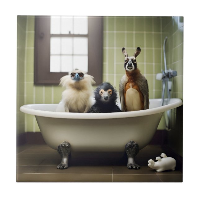 Funny animals in bathroom ceramic tile (Front)