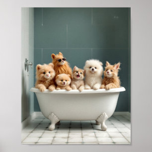 Funny animals in bathtub poster