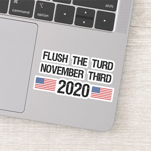 Funny Anti-Trump 2020 Elections (Detail)