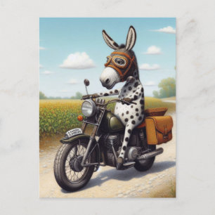 Funny Appaloosa Mule on a motorcycle  Postcard