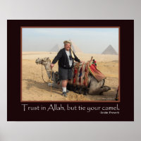 Funny Arabic Proverb Egypt Pyramids Camel Photo
