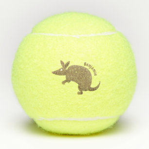 Funny armadillo happy cartoon illustration tennis balls
