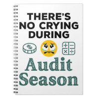 Funny Auditor No Crying During Audit Season