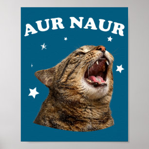 Funny Aur Naur Cat Style Oh No Surprised Cat Meme Poster
