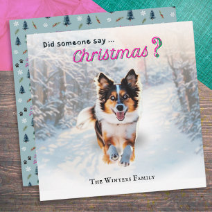 Funny Australian Shepherd Dog In Snow Holiday Card