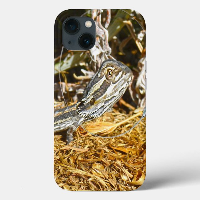 Funny Baby Bearded Dragon, iPhone 13 Case (Back)