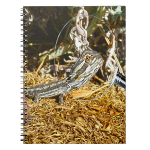 Funny Baby Bearded Dragon, Notebook