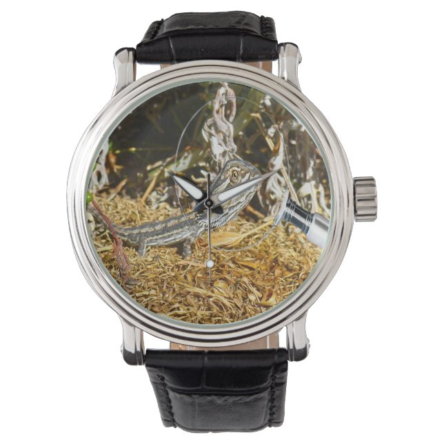 Funny Baby Bearded Dragon, Wrist Watch (Front)