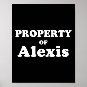 Funny Bachelor Gifts For Groom Property Of Alexis Poster