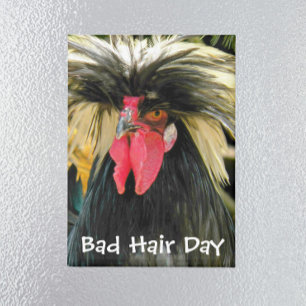 Funny Bad Hair Day Chicken Meme Magnet