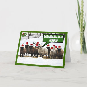 Funny Bah Humbug Holiday Card
