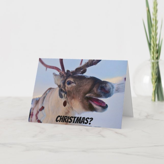 Funny Bah Humbug Reindeer Christmas Card (Front)