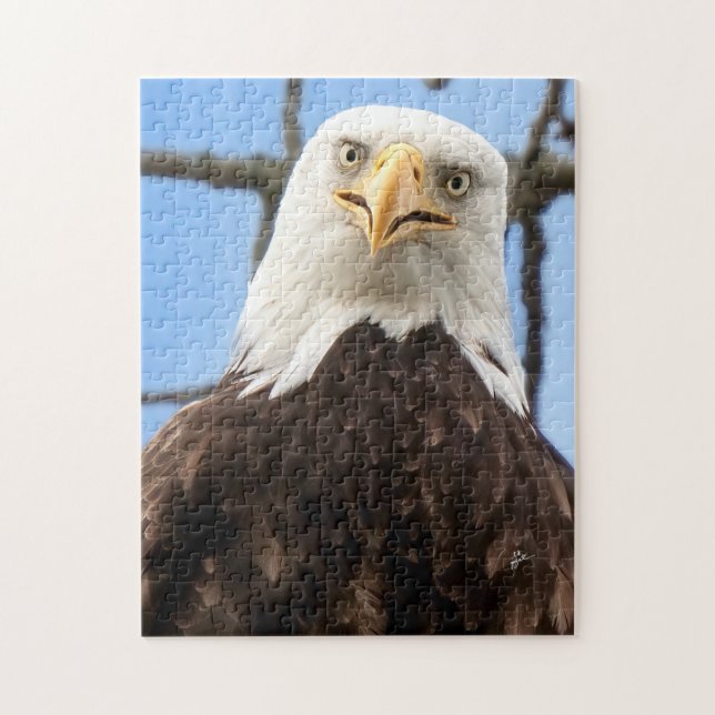Funny Bald Eagle Face Wildlife Photography Jigsaw Puzzle (Vertical)