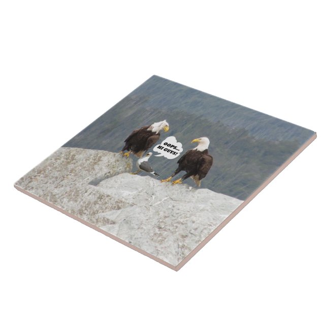 Funny Bald Eagles Seagull Wildlife Humour Kitchen Tile (Side)