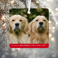 Funny Bark Humbug Dog Photo Christmas Personalised
