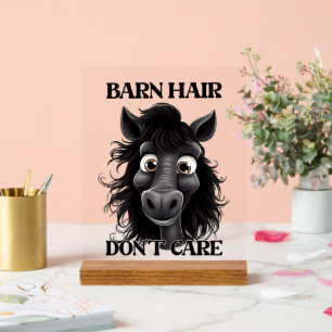 Funny barn hair horse word art acrylic sign