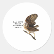 Funny Barn Owl Shirt