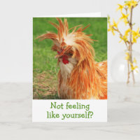Funny Barnyard Chicken Get Well