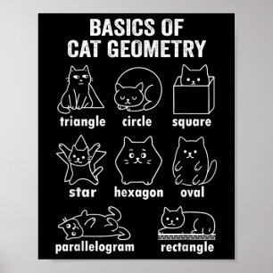 Funny Basics Of Cat Geometry Back To School Math T Poster