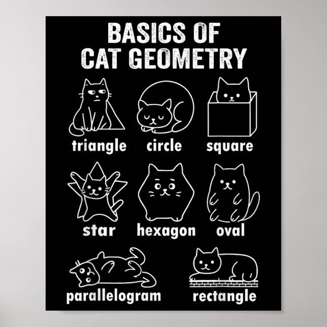 Funny Basics Of Cat Geometry Back To School Math T Poster (Front)