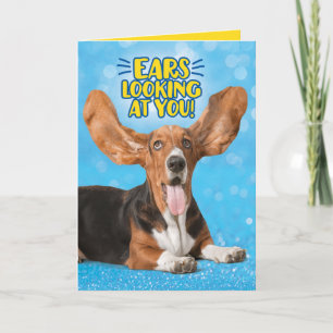Funny Basset Hound Ears Looking At You Congrats Card