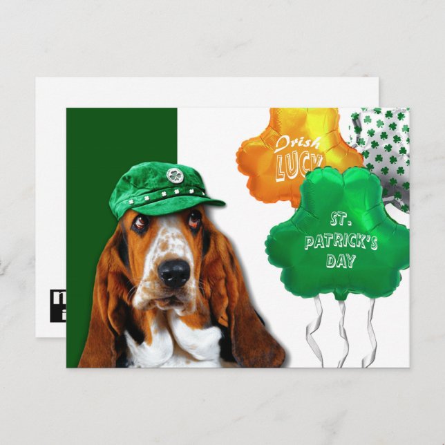 Funny Basset Hound St. Patrick's Day Postcard (Front/Back)