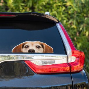 Funny Beagle Dog Half Face