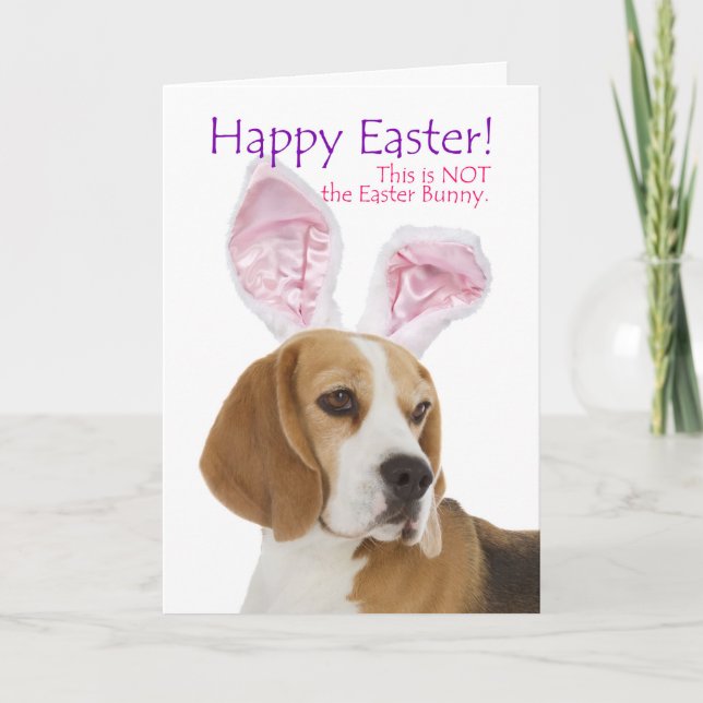Funny Beagle Easter Card (Front)