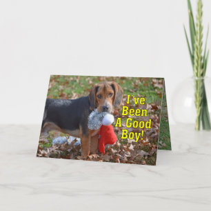 Funny Beagle I've Been A Good Boy Christmas Holiday Card