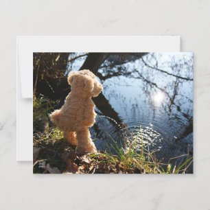 Funny bear who mischievously pees magnetically magnetic invitation