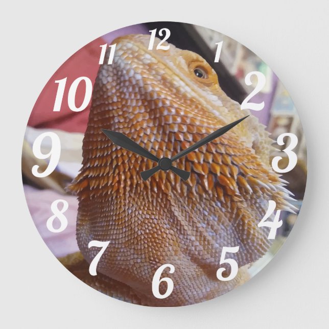 Funny Bearded Dragon Up Close Face Large Clock (Front)