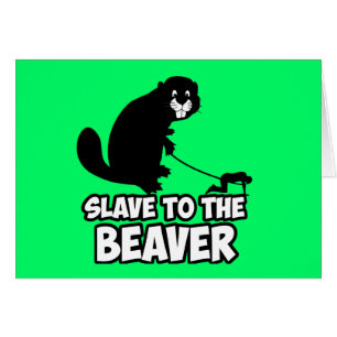 Funny Beaver