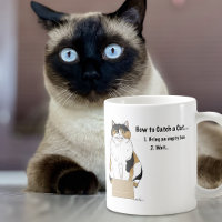 Funny Beige Calico Cat Box Humour Caught