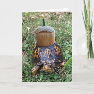 Funny Belated Birthday Card