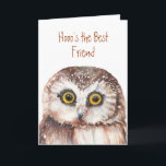 Funny Best Friend? Birthday Wise Owl Humour Card<br><div class="desc">Hooo's the best Friend? Birthday    You are and thank you</div>