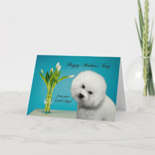 Funny Bichon Mother's Day Card