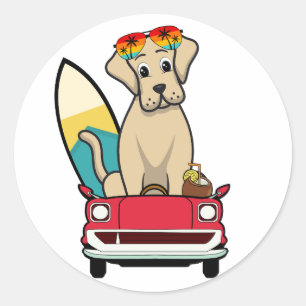 Funny Big Dog is driving to the beach Classic Round Sticker