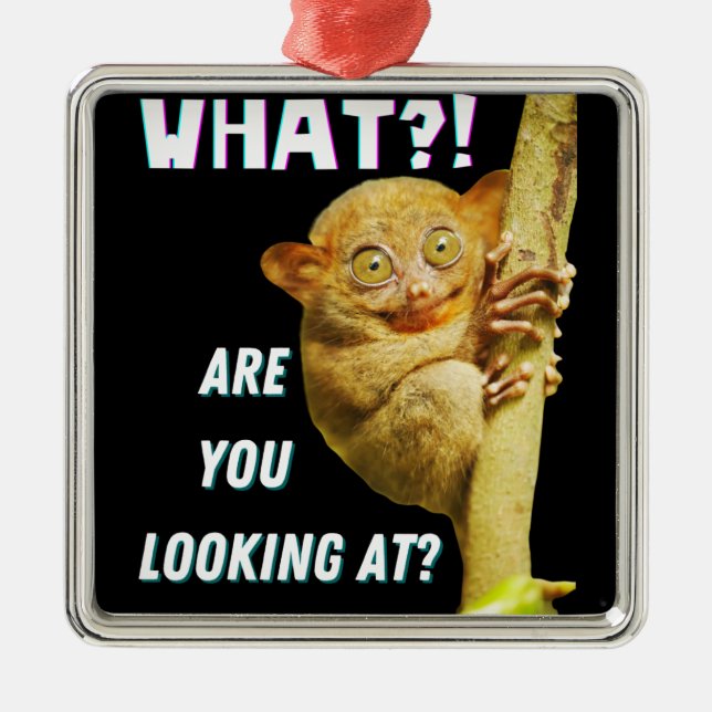 Funny Big Eyed Tarsier What Are You Looking At Metal Ornament (Front)