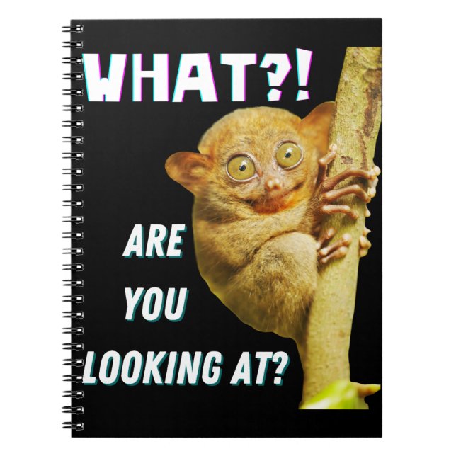 Funny Big Eyed Tarsier What Are You Looking At Notebook (Front)
