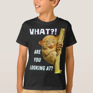 Funny Big Eyed Tarsier What Are You Looking At T-Shirt