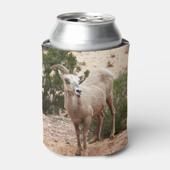Funny Bighorn Sheep at Zion National Park Can Cooler (Can Front)