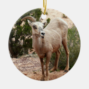Funny Bighorn Sheep at Zion National Park Ceramic Tree Decoration