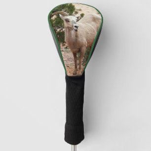 Funny Bighorn Sheep at Zion National Park Golf Head Cover